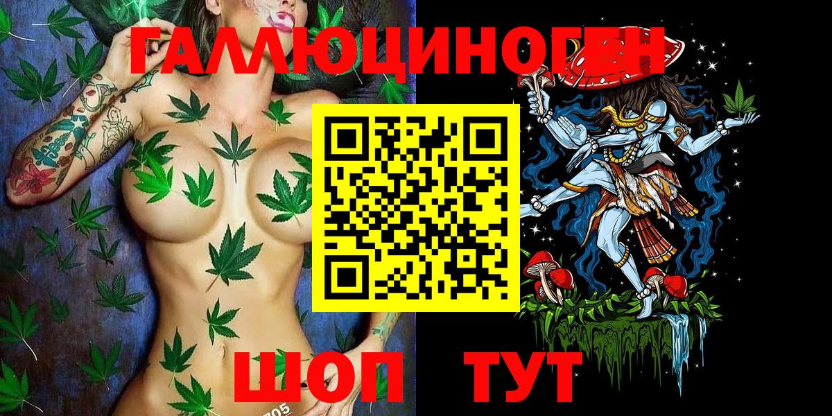 Псилоцибиновые грибы Cubensis  Вход с VPN  Елизово 